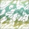 Watercolors