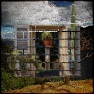 IMG Bricks