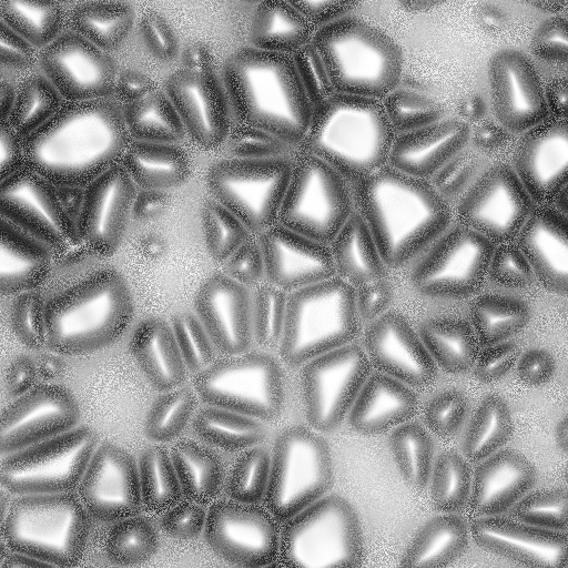 Ambient Occlusion Map