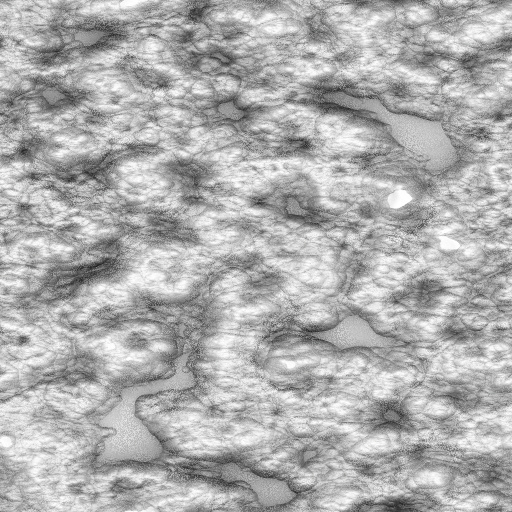 Ambient Occlusion Map