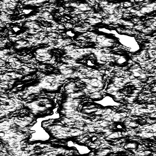 Reflective Occlusion Map
