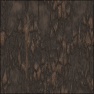 ancient tree bark