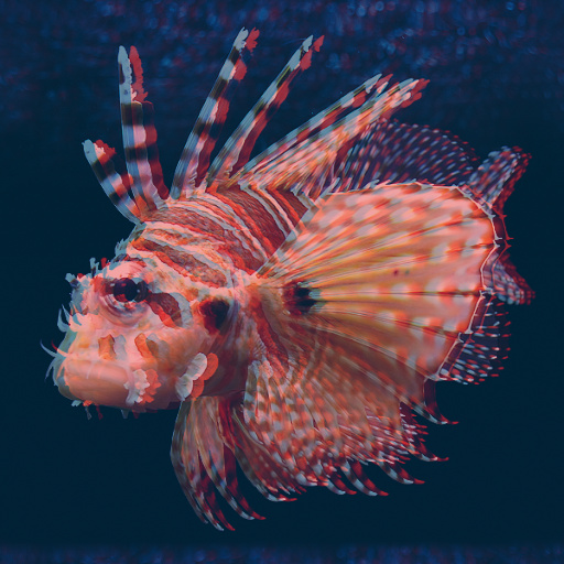 Variation 4