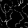 mw_Caustic