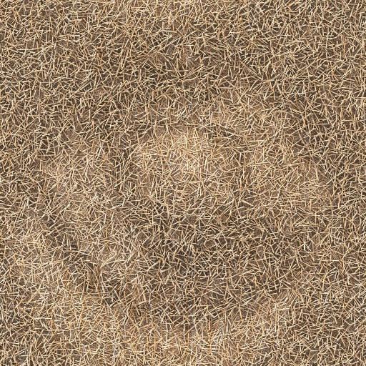 Variation 7