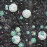 mw_Fungi Lichens