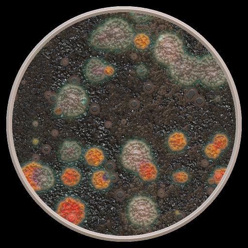 Variation 8