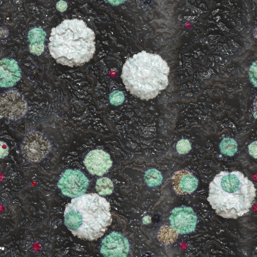 mw_Fungi Lichens (Texture)