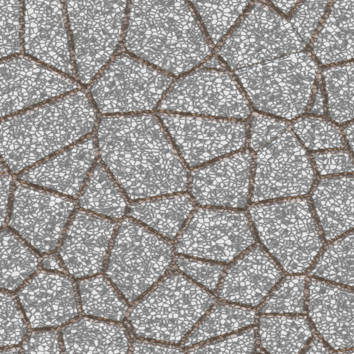 Variation 3
