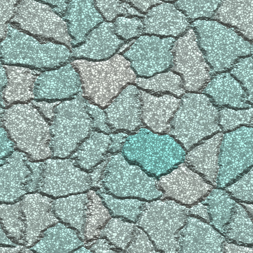 Variation 7