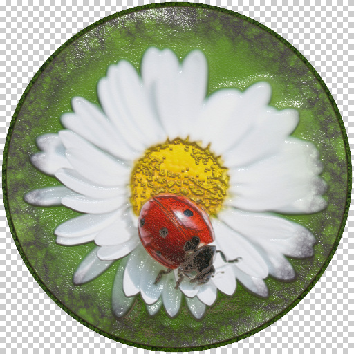Variation 1