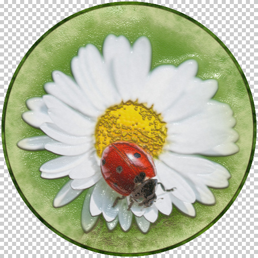 Variation 3