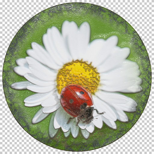Variation 4
