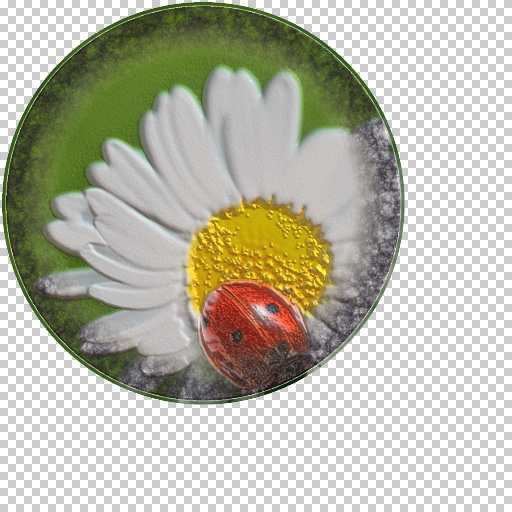 Variation 5