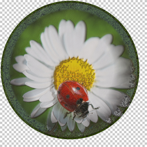 Variation 6