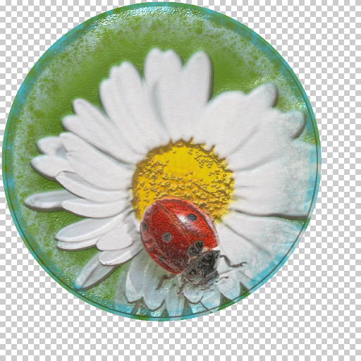 Variation 8