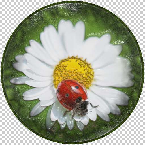 Wet, mottled organic (Effect)