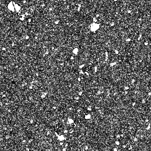 Reflective Occlusion Map