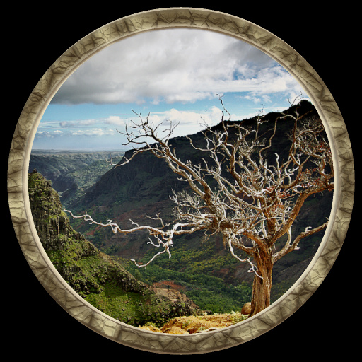 Ring Frame