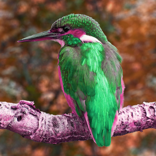 Variation 2
