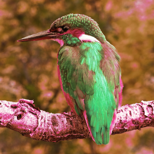 Variation 6