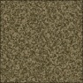 Digital Camoflauge