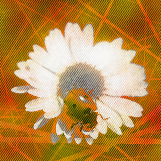 Variation 4