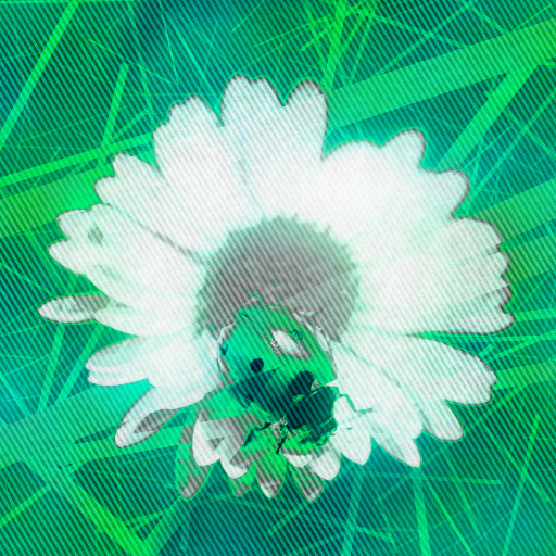 Variation 5