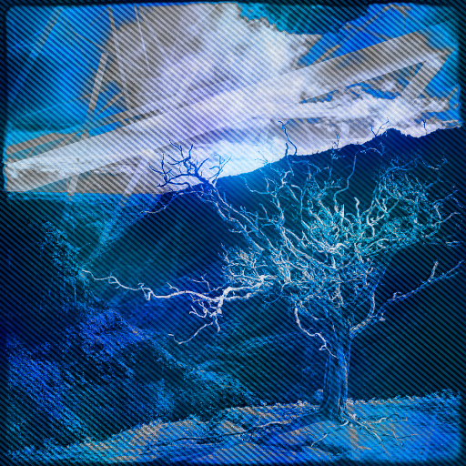 Variation 8