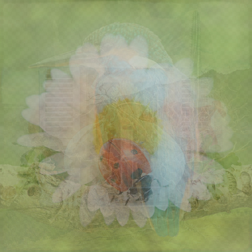 Variation 5