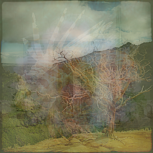 Variation 6