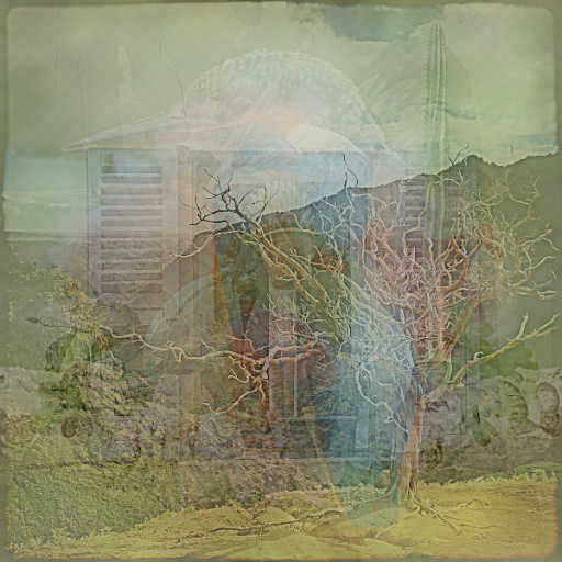 Variation 8