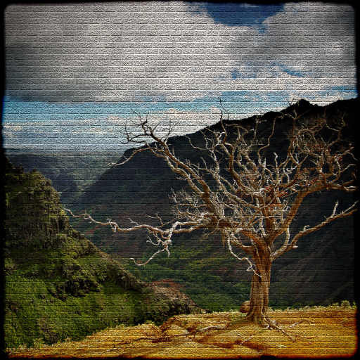 Variation 1