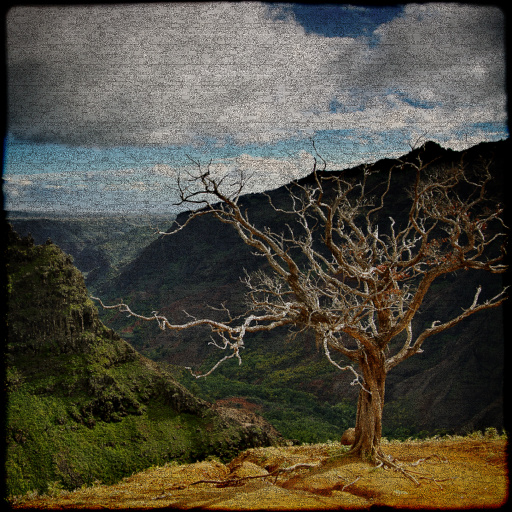 Variation 4