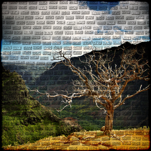 Variation 6
