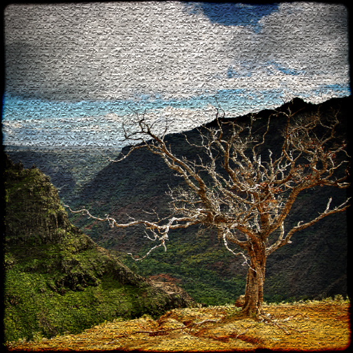 Variation 8