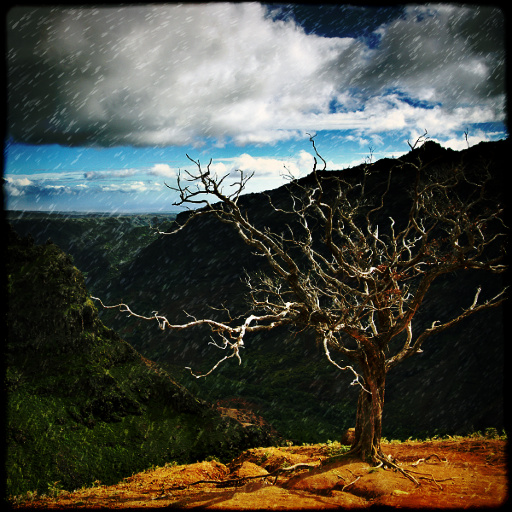 Variation 2