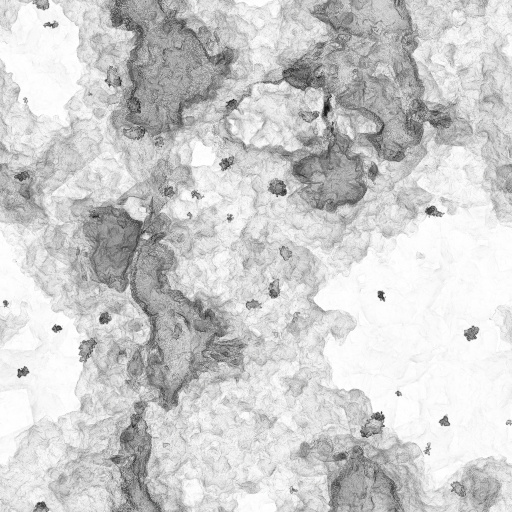 Ambient Occlusion Map