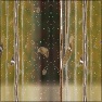 mw_The Leaves