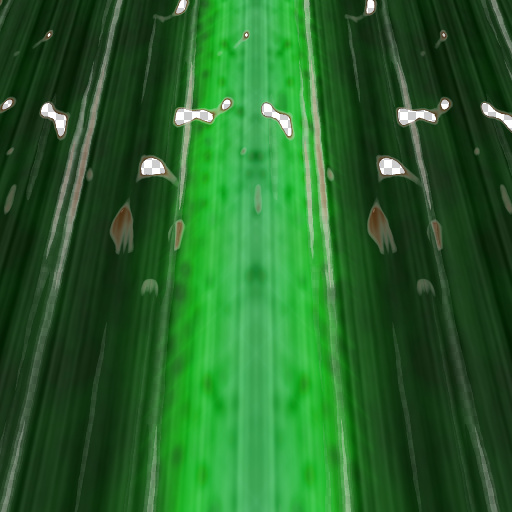 Variation 5