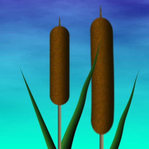Variation 1