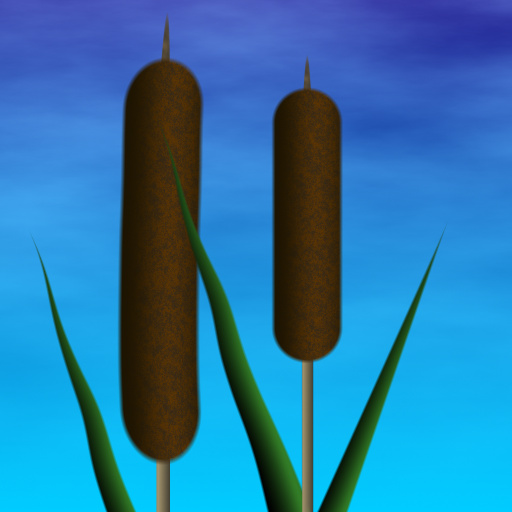 Variation 4