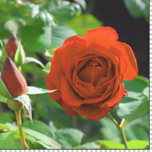 Variation 8
