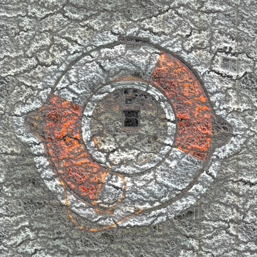 Variation 6