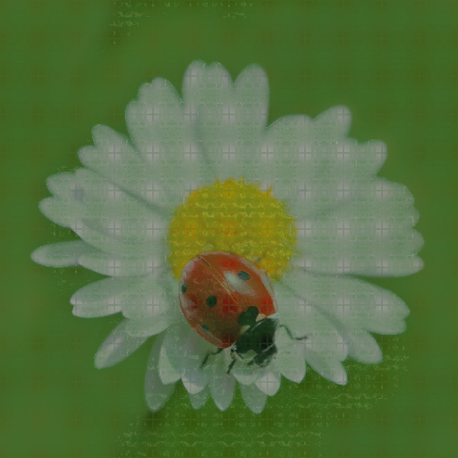 Variation 2