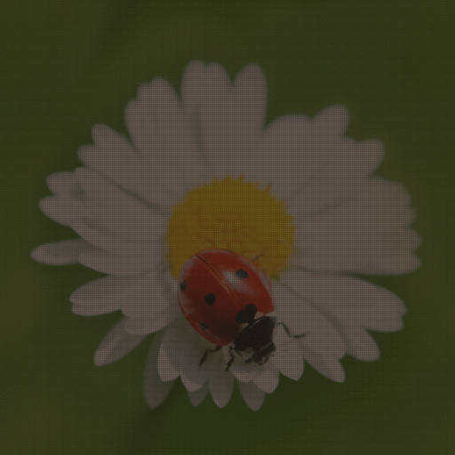 Variation 6