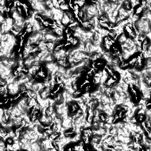 Reflective Occlusion Map