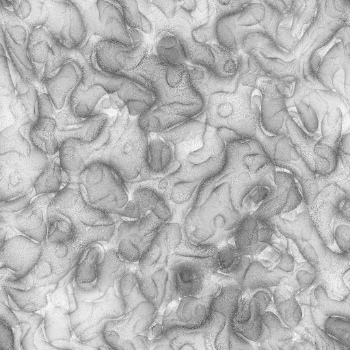 Ambient Occlusion Map