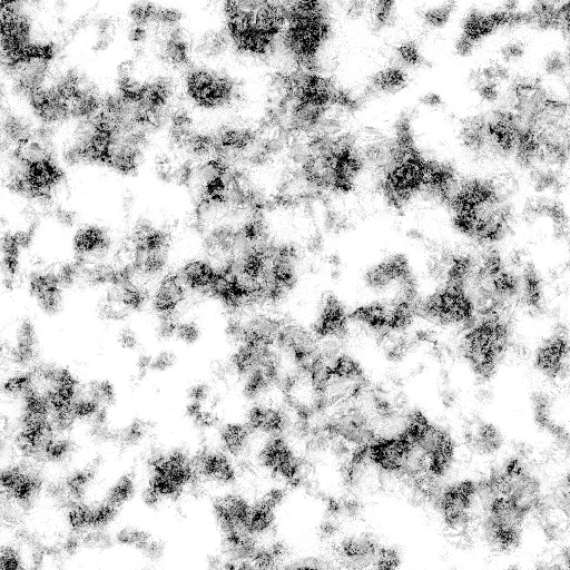 Ambient Occlusion Map