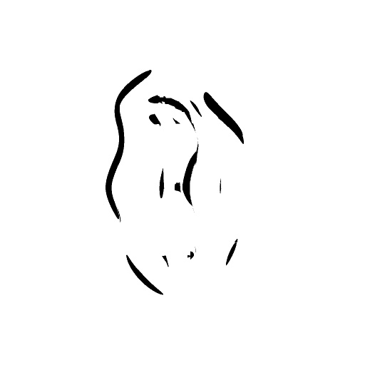 Reflective Occlusion Map